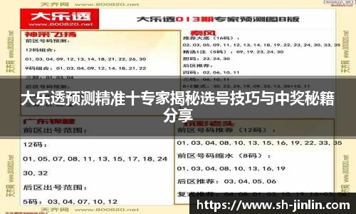 大乐透预测精准十专家揭秘选号技巧与中奖秘籍分享